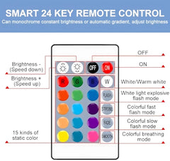 Diagram detailing the smart 24-key remote control for the luminous orb, showing options for 15 static colors and multiple dynamic modes